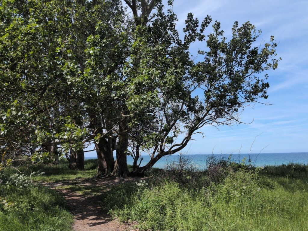 A coastal path above the sea