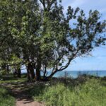 A coastal path above the sea